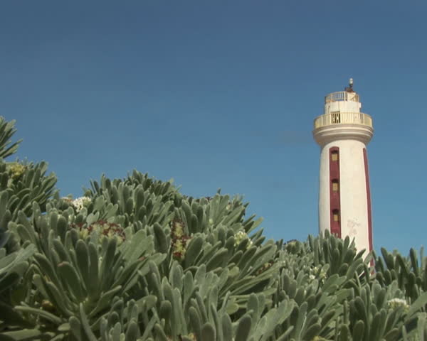 PAL: Lighthouse