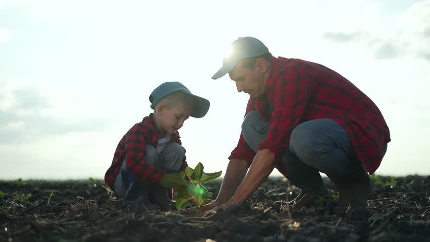 Father son in agriculture. Father teaching son about farm through teamwork. Agriculture teamwork between father son planting crops. Bonding over agriculture work. Father son in agriculture teamwork.