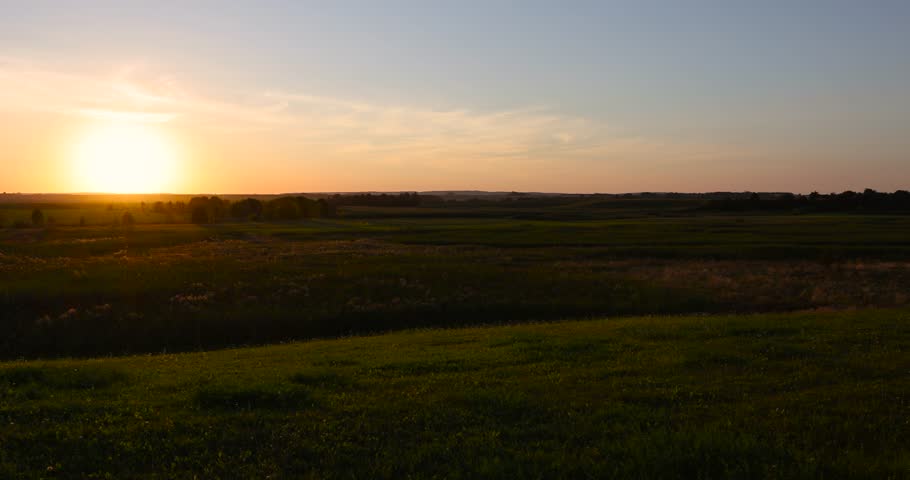 summer sunset in a field with green grass and trees, beautiful orange sky and grass with trees at sunset