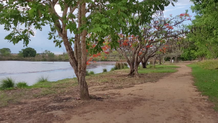 girl riding a bicycle in a rural landscape by a lake