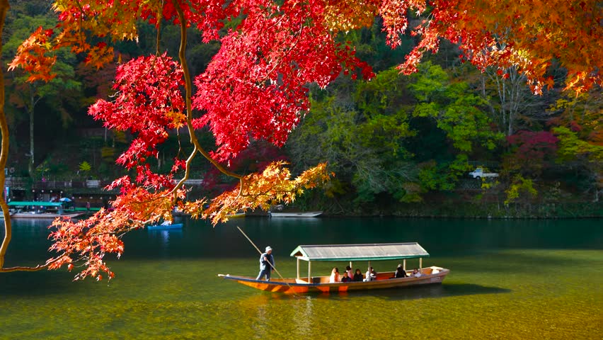 Kyoto Arashiyama autumn leaves December