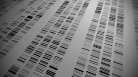 DNA sequencing and analysis, abstract looping background - Powered by Shutterstock - Get 15% off with code: PIKWIZARD15