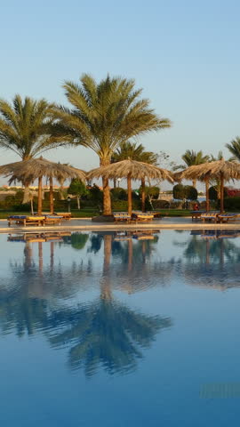 Swimming pool with palm trees in resort at morning. Vertical video