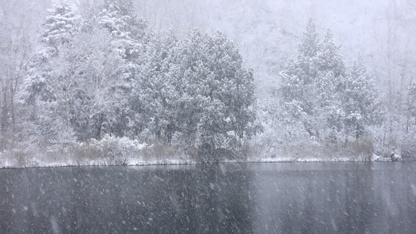 lake and snow covered trees in winter, snow falling in forest	
