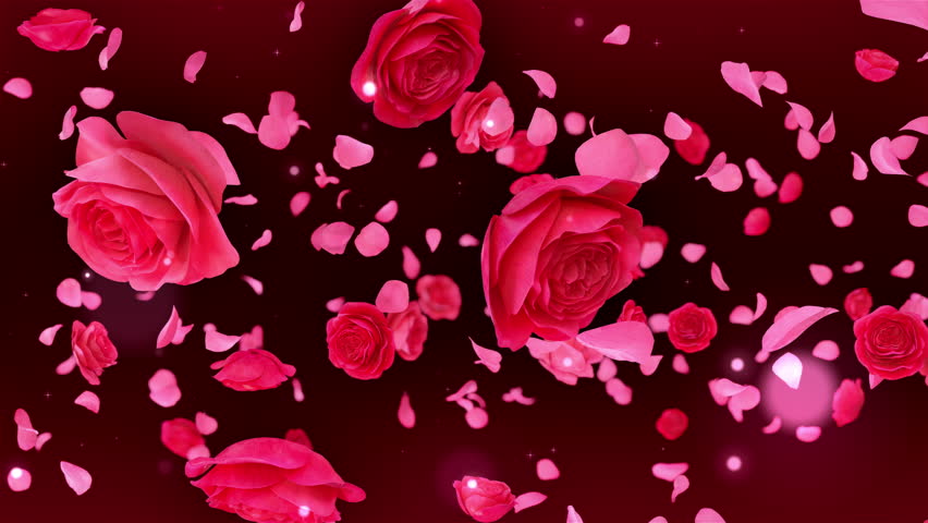 seamless looping roses petal flying in the wind background . looping 3d rendering .