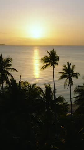 Drone view of tropical beach with sunset background. Santa Fe, Tablas, Romblon. Philippines. Vertical view.