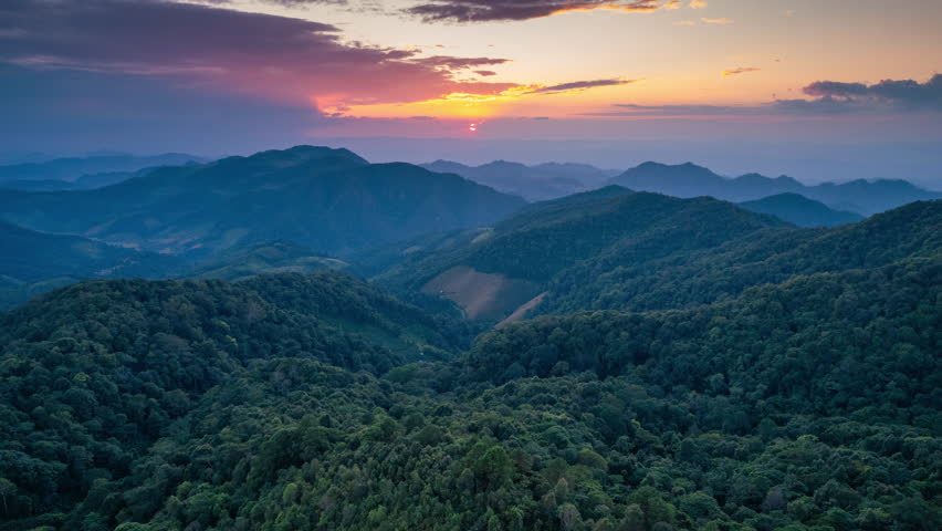 Hyperlapse aerial view of vibrant sunset over Tree Marigold field blossom with winding road on mountain hill at Doi Mae U Kho, Mae Hong Son, Thailand