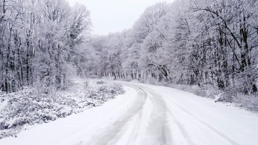 Snow-covered winding road through a winter forest in a tranquil setting during a snowy day