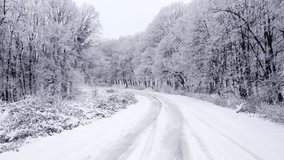 Snow-covered winding road through a winter forest in a tranquil setting during a snowy day - Powered by Shutterstock - Get 15% off with code: PIKWIZARD15