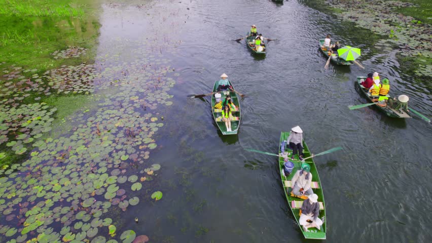 aerial drone shot slowing decending over traditional vietnam rowboats driven by legs with people wearing conical hats in middle of green fields at Ninh Binh