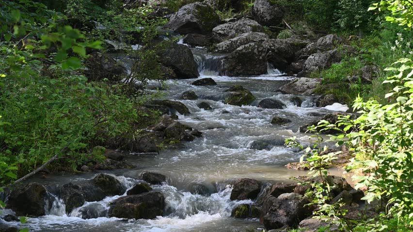 Sunlight dapples a rocky river flowing through a vibrant green forest, creating a serene and picturesque natural scene