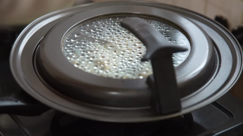 Woman grilling dumplings at home

