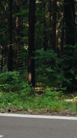 Beautiful fitness woman in black leggings and white sneakers running on treadmill in forest at warm summer day. Female athlete jogging in forest. Slow motion closeup. Healthy activity. Sports training