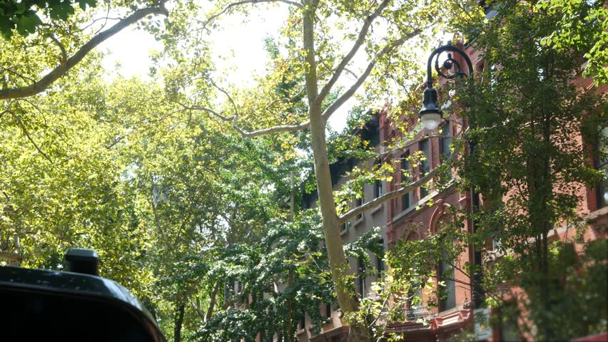 New York City townhouse building, Brooklyn Heights residential district, USA. Brownstone urban architecture, attached house. United States real estate, american property, apartments and homes in NYC.