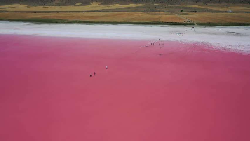 SALT LAKE
in the summer months, the pigments in the salt lakes change color and turn into pink-red tones. The focus of attention of local and foreign tourists is salt, soda, iodine, bromine and lithiu