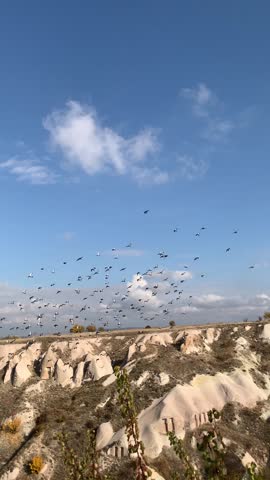 The bird flying in perfect unison in the beautiful mounds of Cappadocia
