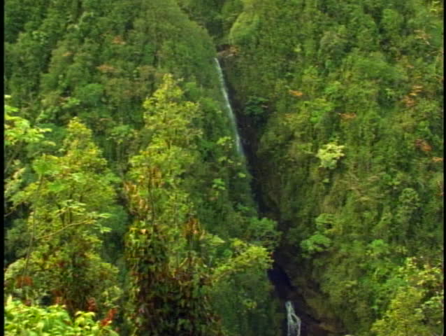 Akaka Waterfall, wide shot, tilt down, on the Big Island of Hawaii