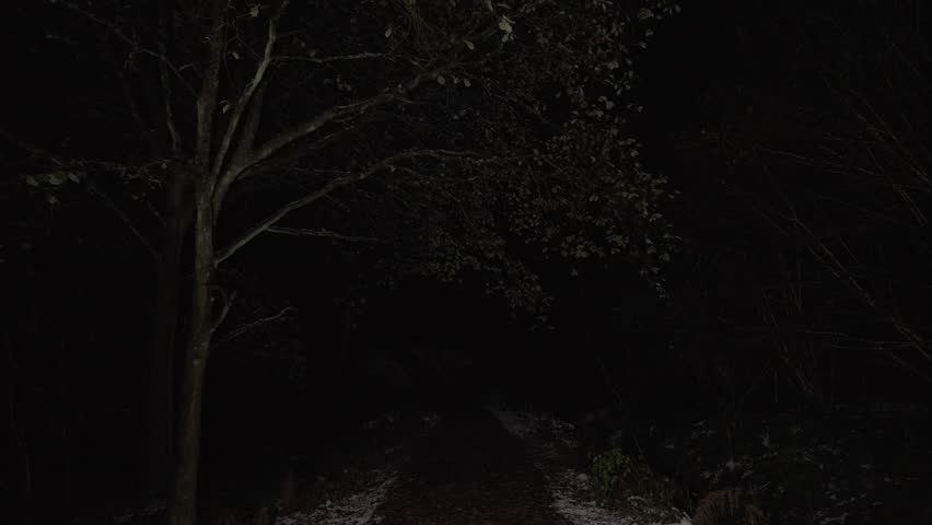 Mysterious Reverse Walk Through a Dark Forest with Smoky Haze and Faint Light