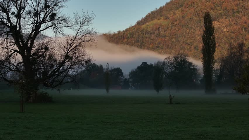 Serene misty landscape near Walensee, Switzerland, showcasing trees enveloped in fog against a backdrop of alpine nature. Concept of tranquility, untouched beauty, and scenic simplicity.