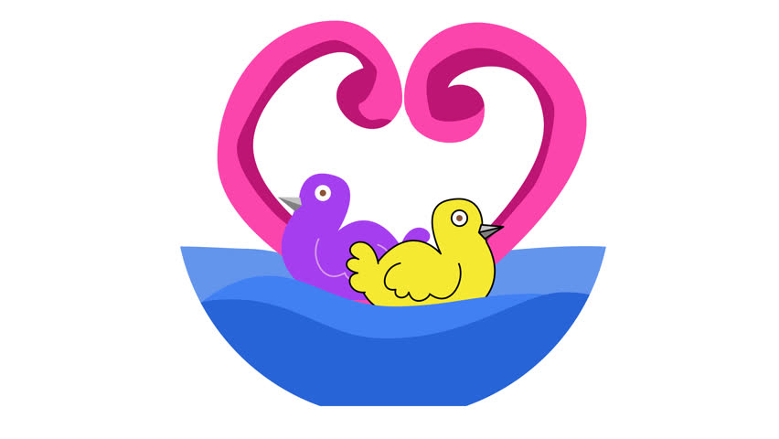 A Lovebird couple swims with a love-shaped background in a cartoon animation. Romantic wedding animal. Alpha channel. Seamless looping. Suitable for cute bird and adorable stickers video content