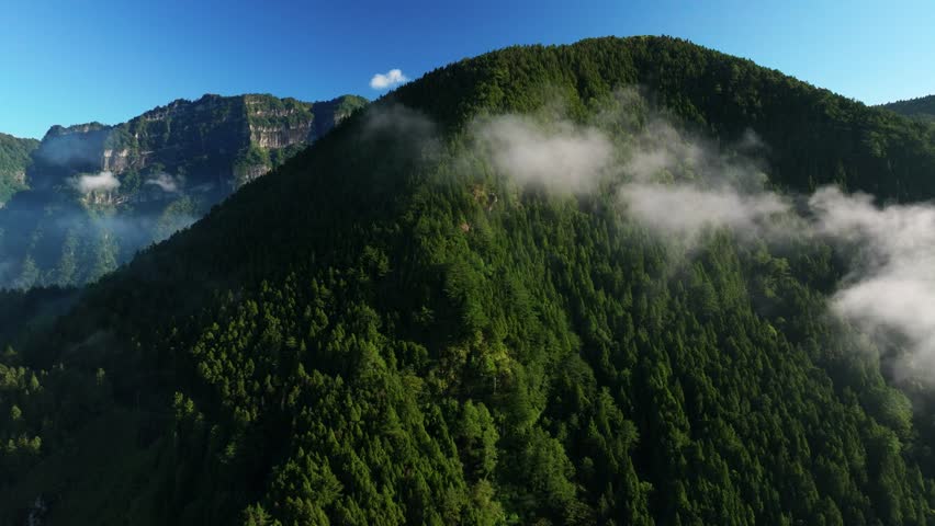 Aerial  view of mountain range Alishan
