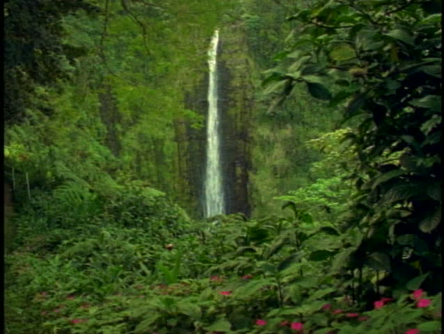 Akaka Waterfall, wide shot, on the Big Island of Hawaii