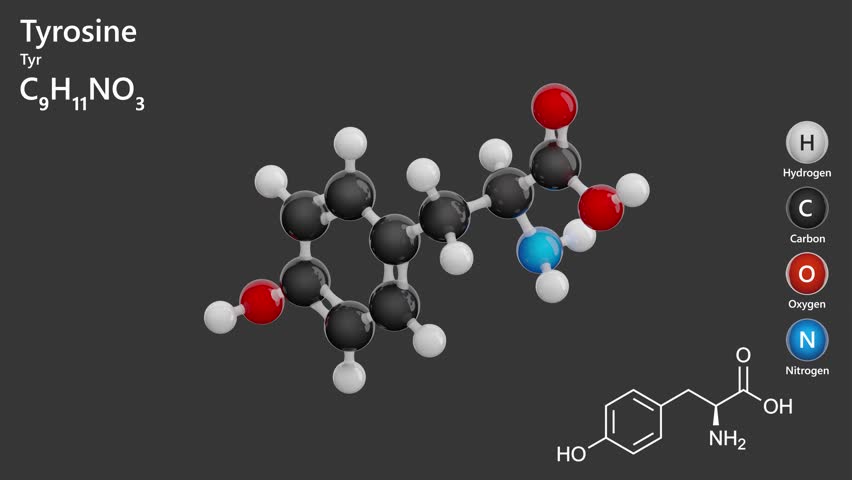 Tyrosine (Tyr or Y). Non-essential amino acid. Animated 3D model of a molecule. Molecular formula: C9H11NO3. Chemical model: Ball and sticks. Gray background. 3D rendering. Seamless loop.