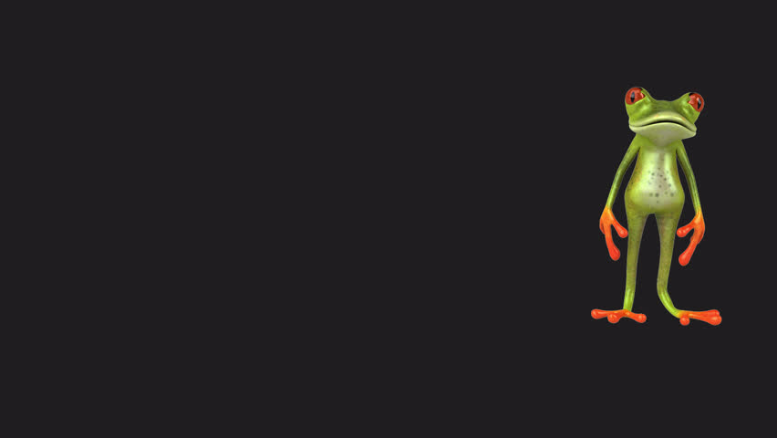 Shutterstock Video