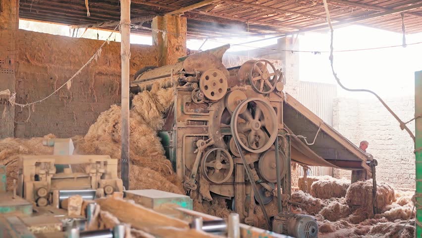 Old flax factory in Shubra Mellas, Egypt. flax production plant, flax is being prepared for processing for tailoring, 4k video