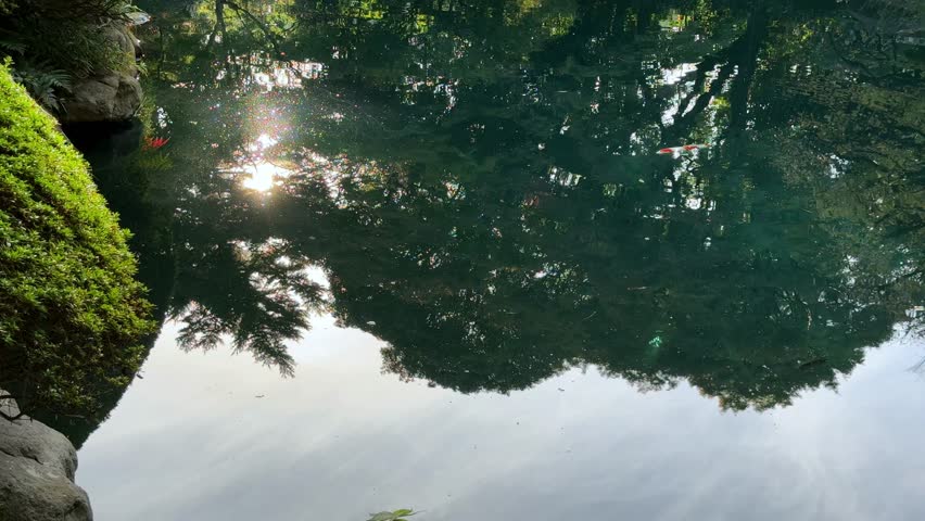 Sunlight reflects on a calm pond surrounded by lush greenery and trees on a peaceful day