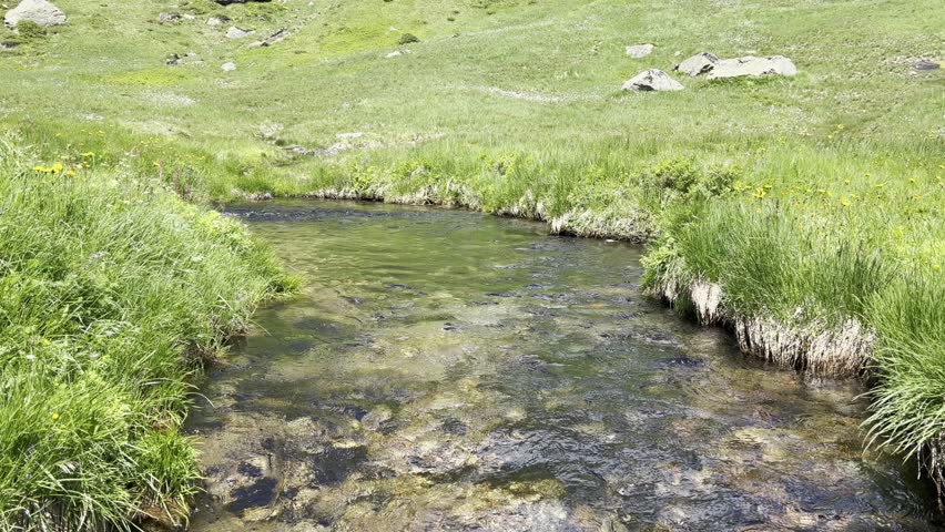 An idyllic mountain stream is flowing through a green high plateau in the Stubai Alps in the Tyrol region of Austria