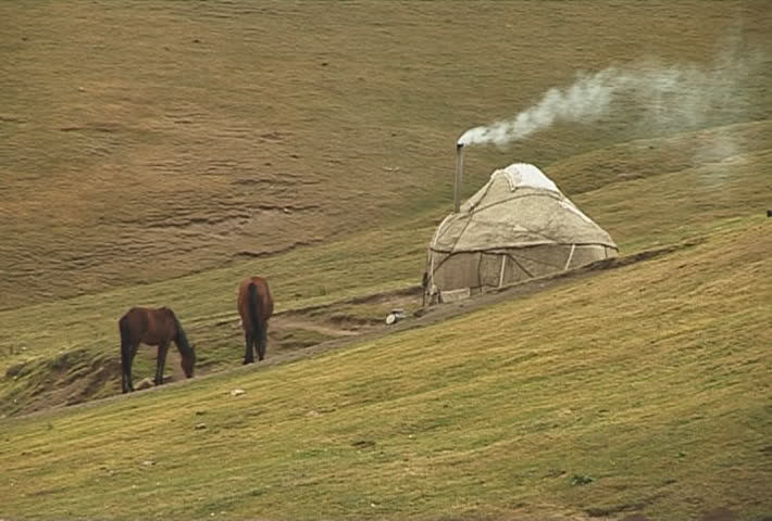 The Mountain landscape with horse.