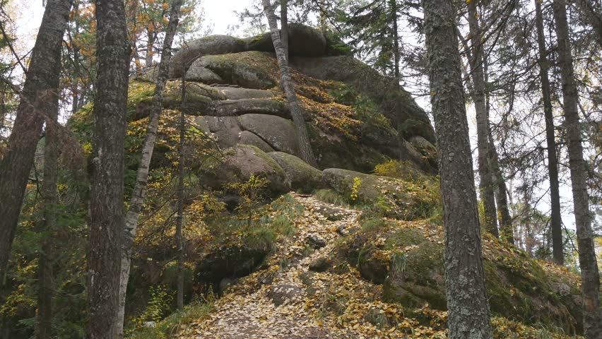 Siberian landscape - a huge rock covered with withered leaves, taiga on a cloudy autumn day.