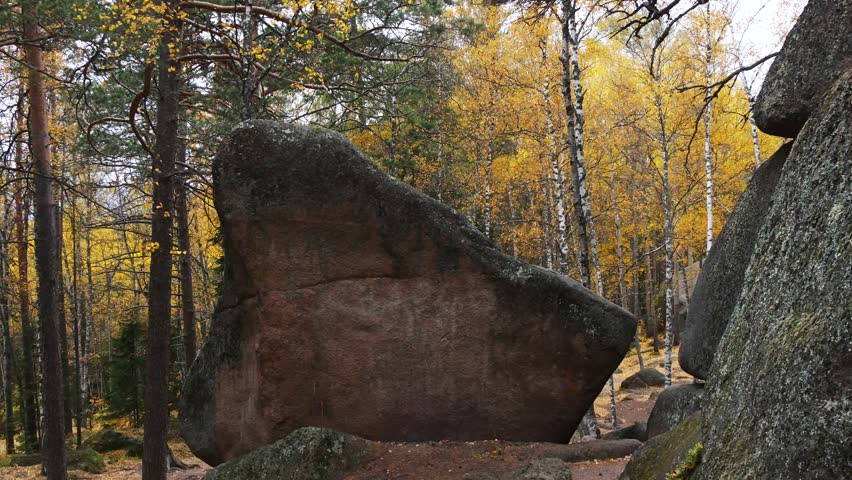 Huge rocks in the Siberian taiga against a background of yellow foliage under a pale sky on an overcast fall day.