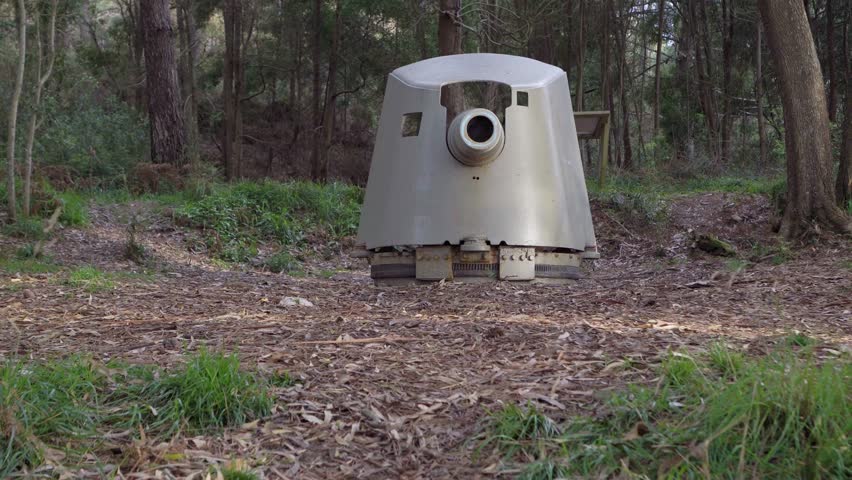 Moving shot entering the muzzle of an abandoned Spanish Civil War cannon