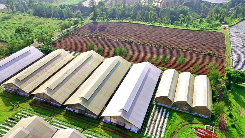 Aerial view of greenhouse and outdoor plantation. The farmland prepared for the crops.