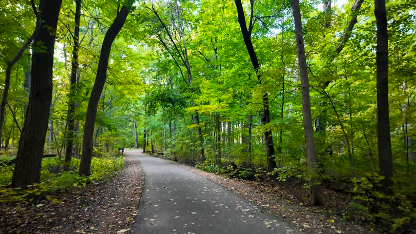 Tall early autumn time trees by the path in Mayberry state park Novi, Michigan.