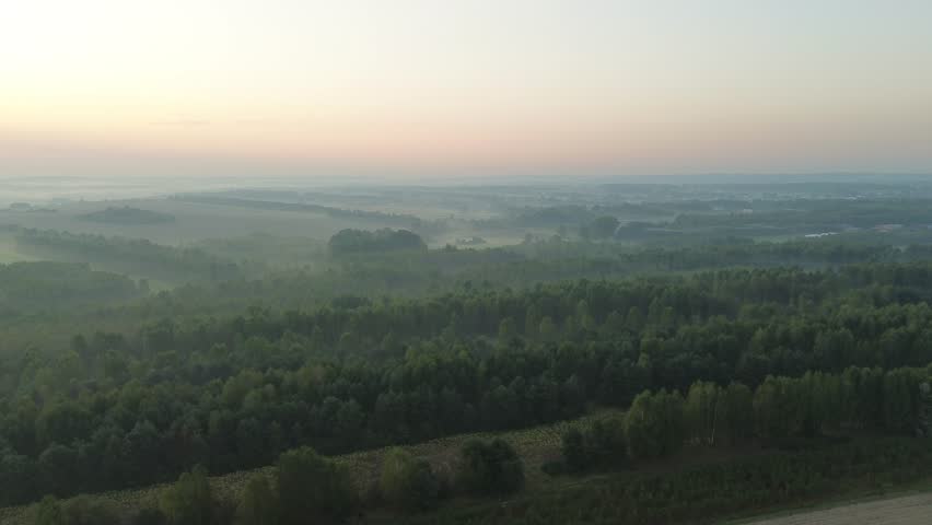 Sun rising over foggy forested countryside