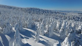 Aerial view flying over forests of frost trees (giant Juhyo, snow monster) on the snowy mountainside under sunny winter sky in Zao, a famous resort for skiing and Onsen (hot spring) in Yamagata, Japan - Powered by Shutterstock - Get 15% off with code: PIKWIZARD15