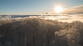 4K Winter Wonderland Aerial View: Snowy Forest with Stunning Sunrise Above the Clouds - Powered by Shutterstock - Get 15% off with code: PIKWIZARD15