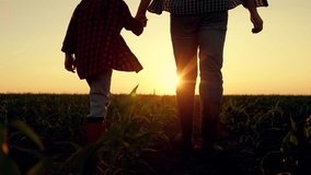 Family business, father, child walk together hand in hand on corn plantation. Farmer father, little daughter is playing in cornfield. Dad farmer, child go through corn field. Business Agriculture. Sun - Powered by Shutterstock - Get 15% off with code: PIKWIZARD15