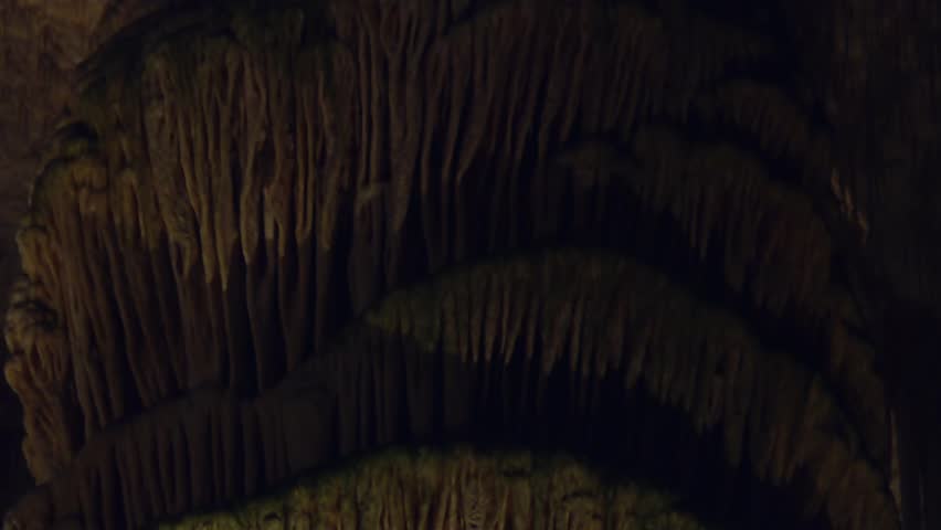 Detailed view of stalactites in Carlsbad Caverns, New Mexico.