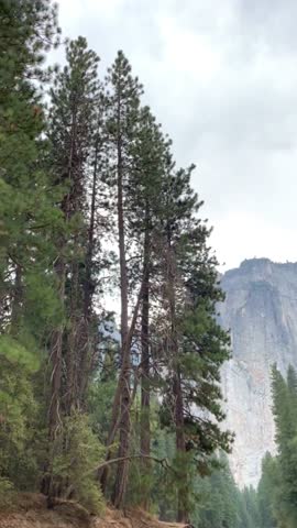 view of El Capitan in Yosemite National Park USA