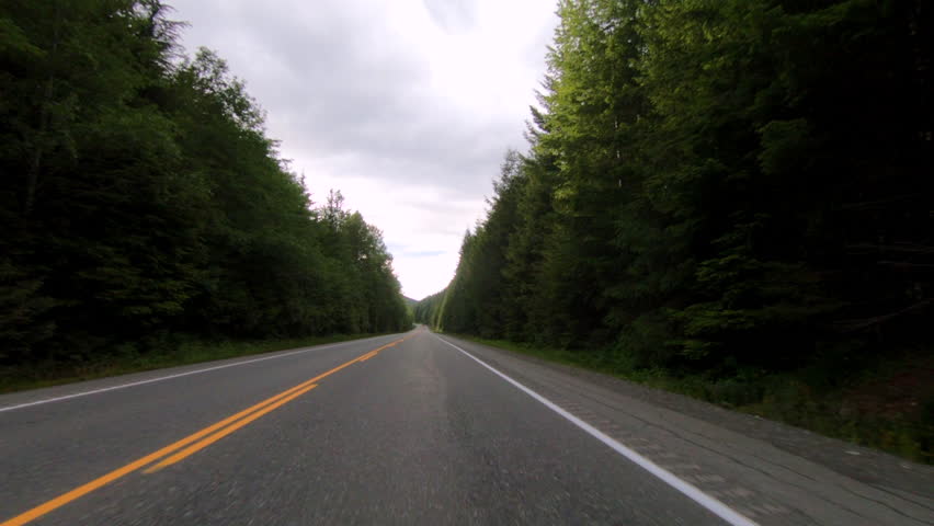 Dense forest highway driving plate front view SSTKPlates Vancouver Island Highway 19 British Columbia Canada