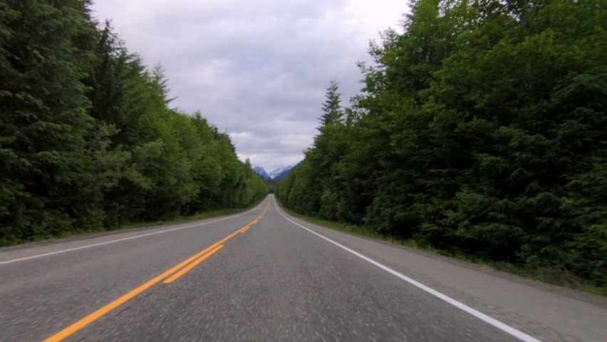 Front view SSTKPlates straight road dense forest highway driving plate Vancouver Island Highway 19 British Columbia Canada