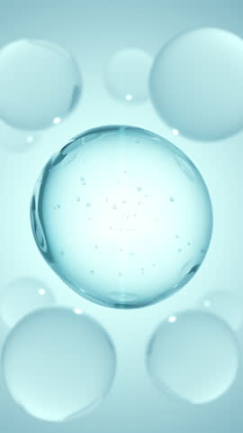 Shutterstock Video