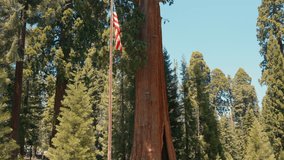 American flag is attached to a tree, the USA flag is set in a pine forest, a sunny day with a blue sky. american flag fluttering on top of a mountain with clouds and mountains. - Powered by Shutterstock - Get 15% off with code: PIKWIZARD15