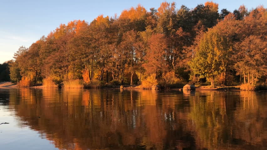 bright yellow autumn landscape by the river, panorama, golden hour