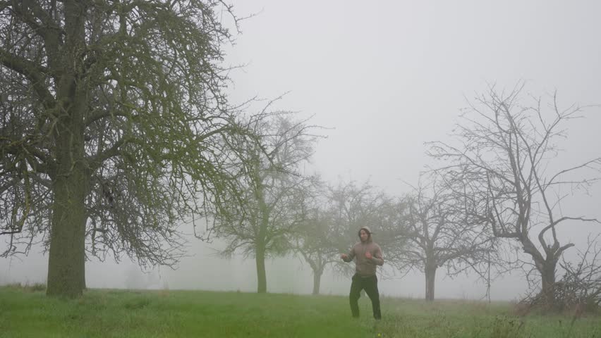  Karate training in a morning foggy field, late autumn. Taekwondo master is performing elegantly in a calm, misty landscape, beautifully embodying freedom and creativity. Slow motion