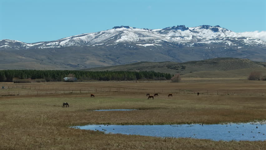 Aerial view of horses grazing near lake and snow-capped Los Andes mountain range. Neuquén, Patagonia, Argentina